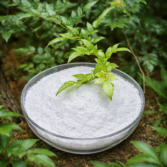 How Dihydromyricetin Is Used in Anti-Oxidant Formulations？